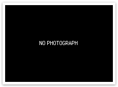 NO PHOTOGRAPH